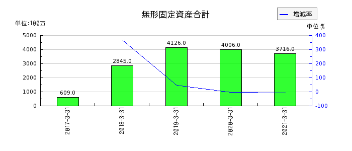 日本アジアグループの無形固定資産合計の推移