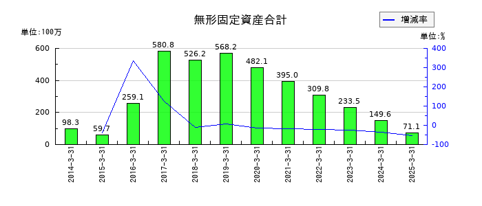 システムズ・デザインの無形固定資産合計の推移