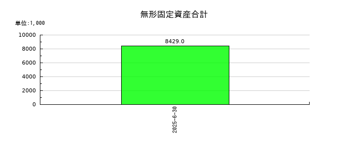 ヒットの無形固定資産合計の推移