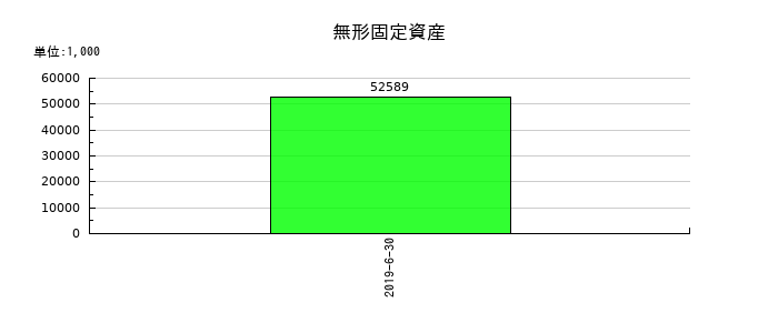 Minoriソリューションズの無形固定資産の推移