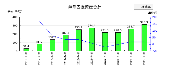 はてなの無形固定資産合計の推移