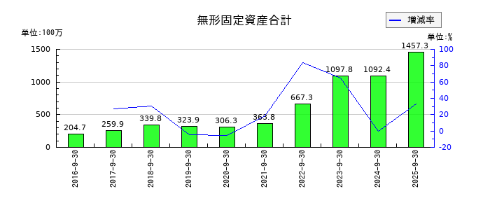 カナミックネットワークの無形固定資産合計の推移