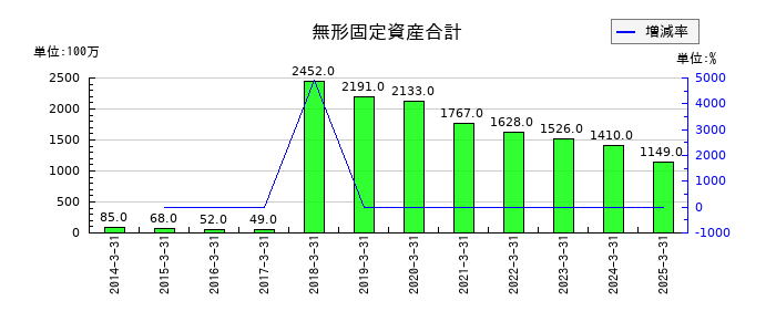 テイカの無形固定資産合計の推移