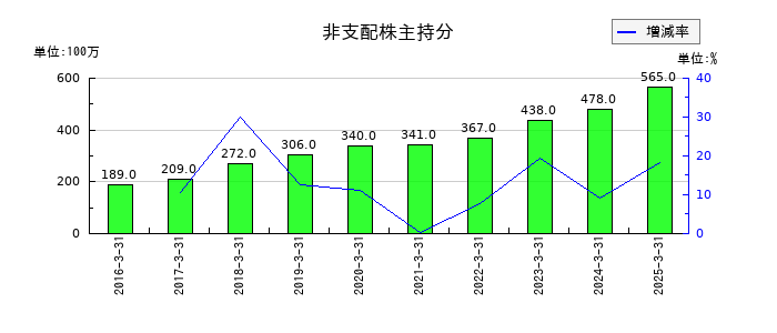 テイカの非支配株主持分の推移