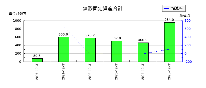 サンアスタリスク（Sun Asterisk）の無形固定資産合計の推移