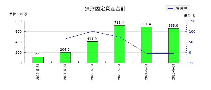インターファクトリーの無形固定資産合計の推移