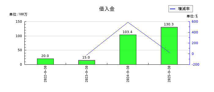 ハイブリッドテクノロジーズの借入金の推移