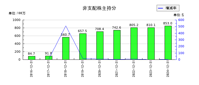 ソルクシーズの非支配株主持分の推移