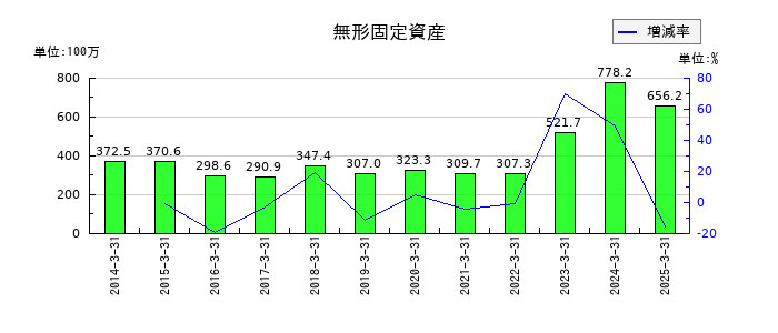 日本精化の無形固定資産の推移