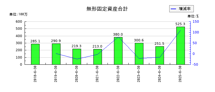 システムサポートホールディングスの無形固定資産合計の推移