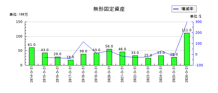 新日本理化の無形固定資産の推移