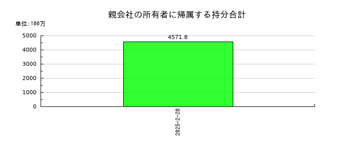 ボードルア の親会社の所有者に帰属する持分合計の推移