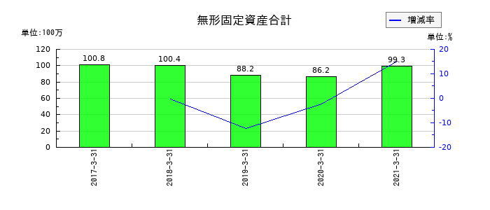 ビオフェルミン製薬の無形固定資産合計の推移