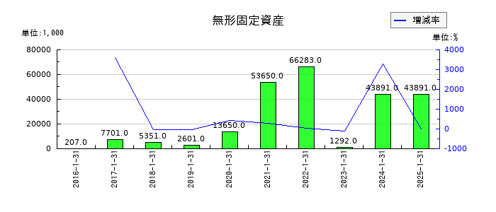 サンバイオの無形固定資産の推移