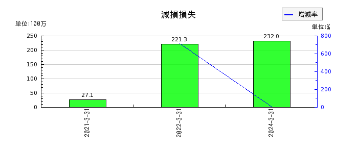 日本パレットプールの無形固定資産合計の推移