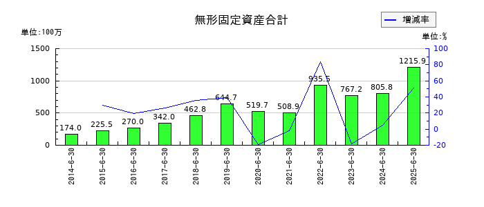 CIJの無形固定資産合計の推移