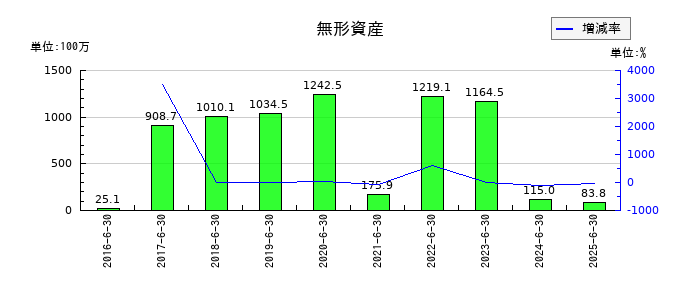 スカラの無形資産の推移