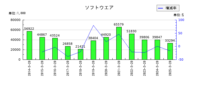 アジュバンホールディングスのソフトウエアの推移