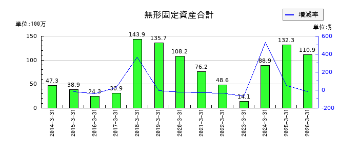 日本高純度化学の無形固定資産合計の推移