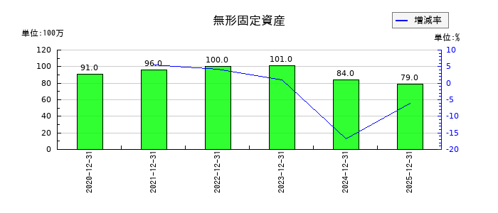日本精蝋の無形固定資産の推移