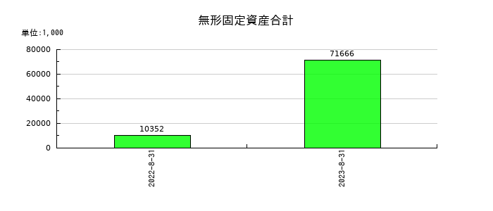 グッピーズの無形固定資産合計の推移