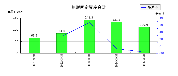 ノザワの無形固定資産合計の推移