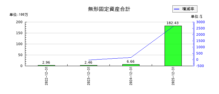 アイズの無形固定資産合計の推移