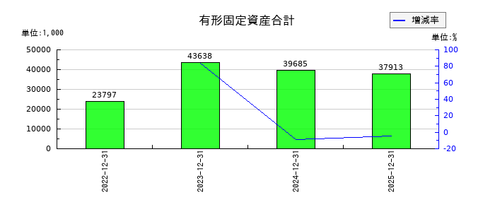 アイズの有形固定資産合計の推移