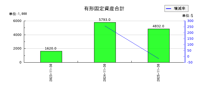 プライム・ストラテジーの有形固定資産合計の推移