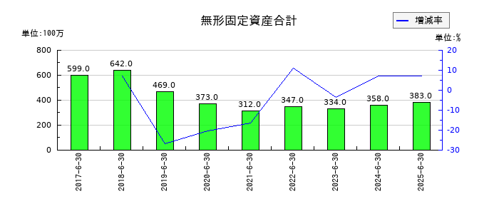 高見澤の無形固定資産合計の推移