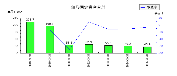 美濃窯の無形固定資産合計の推移