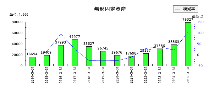 北越メタルの無形固定資産の推移