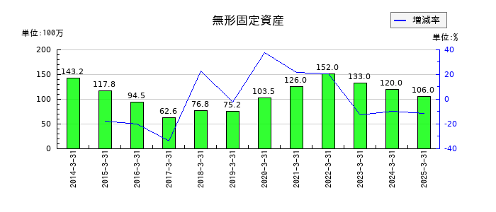 日本金属の無形固定資産の推移