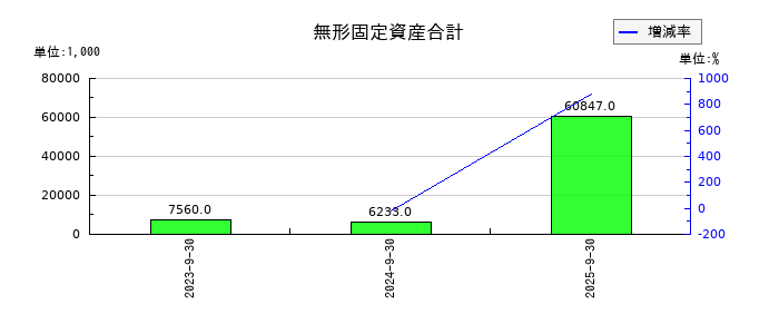 ジェノバの無形固定資産合計の推移