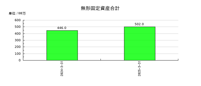 虹技の無形固定資産合計の推移