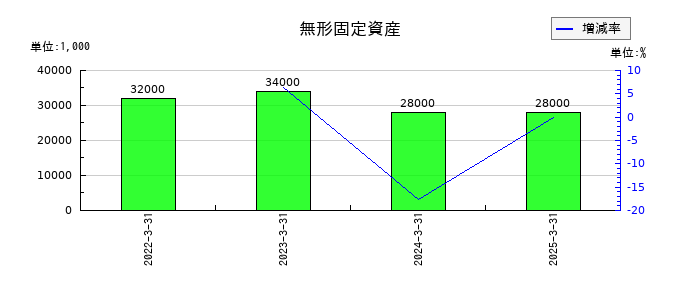 メタルアートの無形固定資産の推移