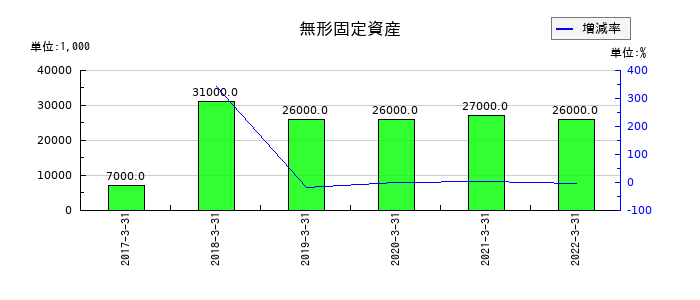 東洋刃物の無形固定資産の推移