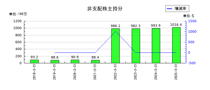 イワブチの非支配株主持分の推移