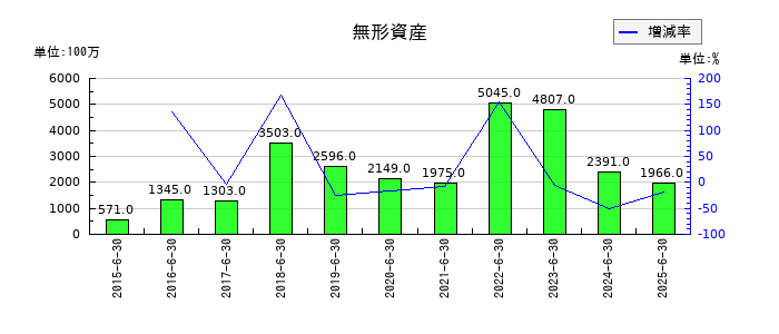 テクノプロ・ホールディングスの無形資産の推移