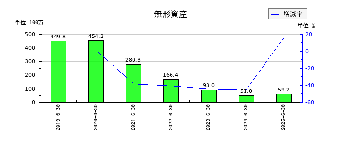 アドベンチャーの無形資産の推移