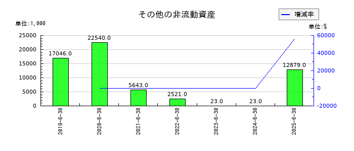 アドベンチャーのその他の非流動資産の推移