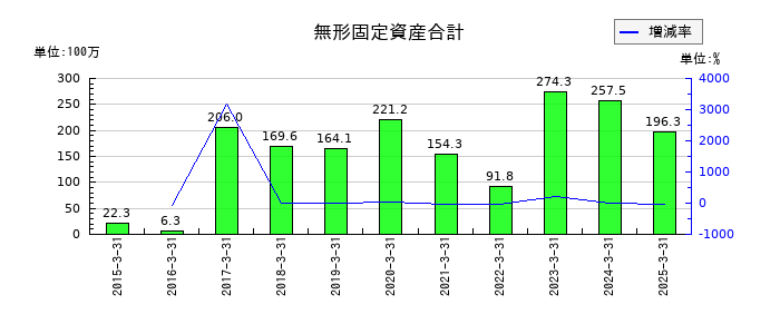 エクストリームの無形固定資産合計の推移