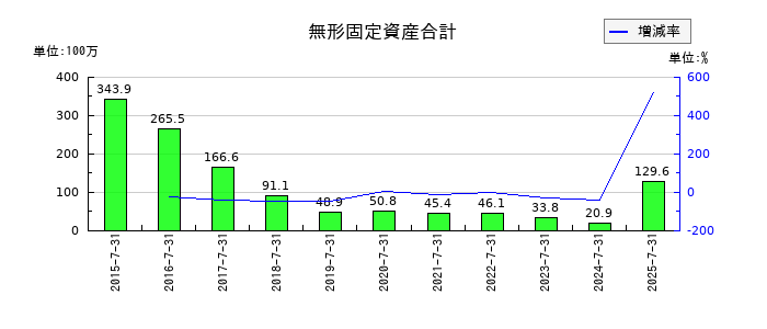 日本スキー場開発の無形固定資産合計の推移