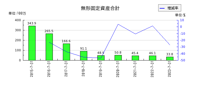 日本スキー場開発の無形固定資産合計の推移