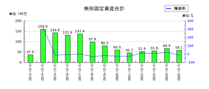 日本エマージェンシーアシスタンスの無形固定資産合計の推移