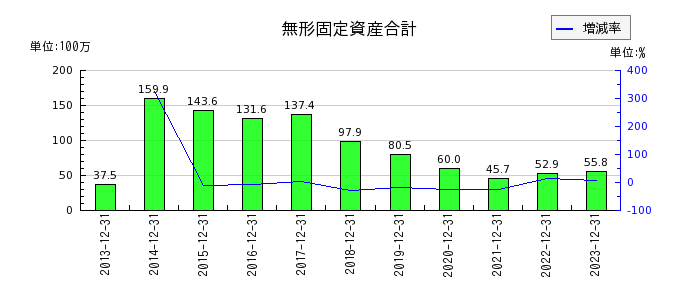 日本エマージェンシーアシスタンスの無形固定資産合計の推移