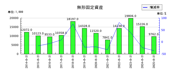 ミクロン精密の無形固定資産の推移