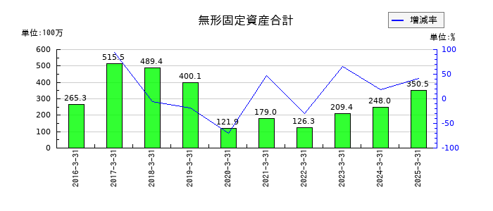 バーチャレクス・ホールディングスの無形固定資産合計の推移