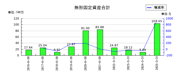 ホープの無形固定資産合計の推移