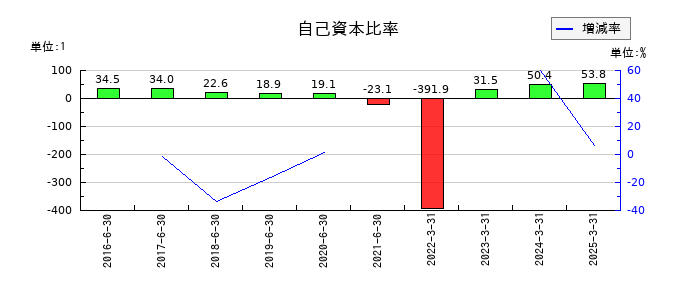 ホープの自己資本比率の推移